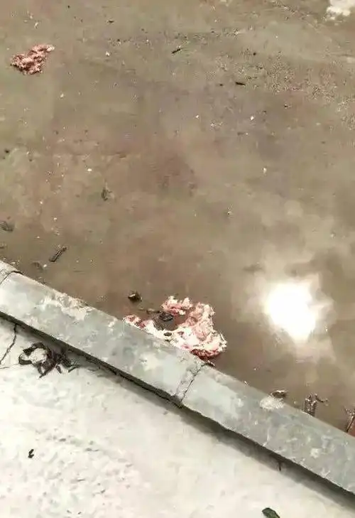 惨!湛江一女子遭泥头车"爆头"当场丧命