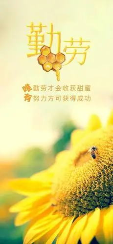 适合摘抄的励志句子,内涵通透,读完特别喜欢