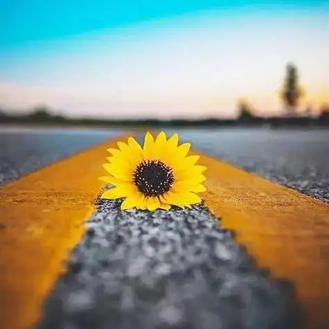 四十岁有气质微信头像 稳重成熟头像_布阁拉