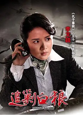 追剿白狼 (电视剧)