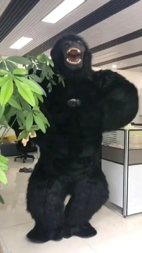 见过大猩猩捶胸见过大猩猩撞墙吗大猩猩技能1