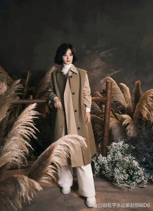 赵丽颖复古风大片来袭,镜头前她气质优雅,手持相机,仿佛