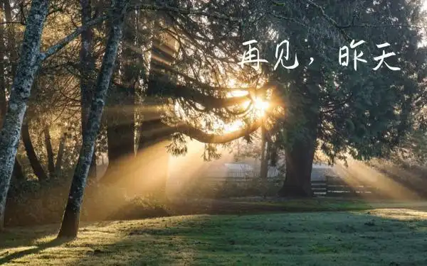 昨天再见,与过去告别的唯美说说