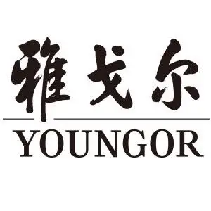 雅戈尔(youngor)京东自营旗舰店