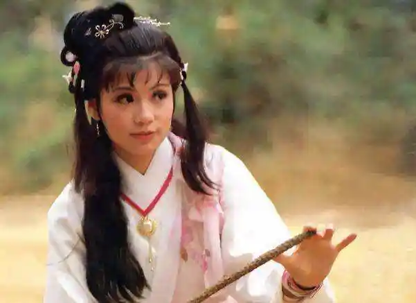 80年代我们一起追过的电视剧