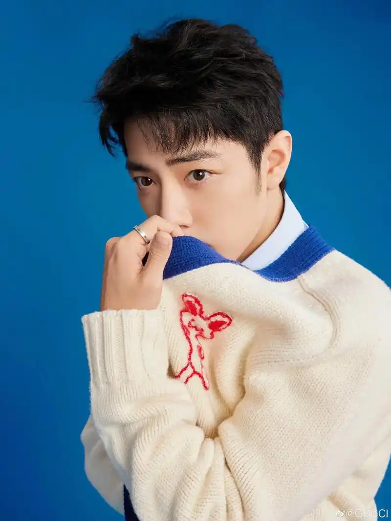 喜欢...小兔子#肖战 #gucci #肖战顺顺利利 - 抖音