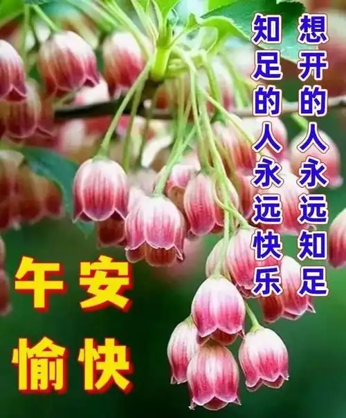 每日温暖心灵的早安祝福语精选,清晨发朋友圈的早上好唯美图片