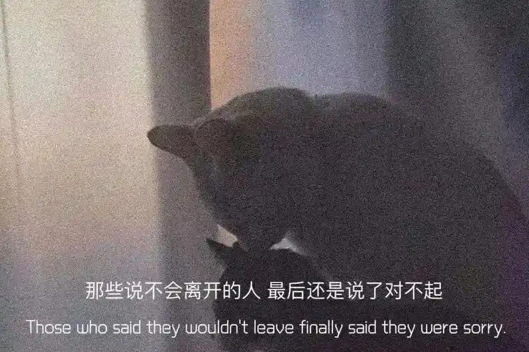 没有人会一直在你身边