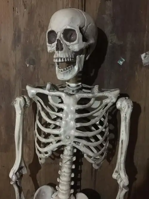 鬼屋密室逃脱酒吧恐怖道具万圣节装饰骷髅骨架28件散骨头棒子棺材