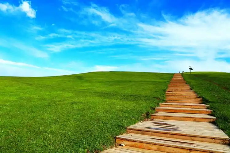 清晰迷人的草原自然风光