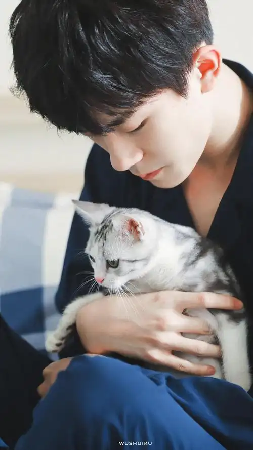 易烊千玺和他的猫–记录(多图持续更新)