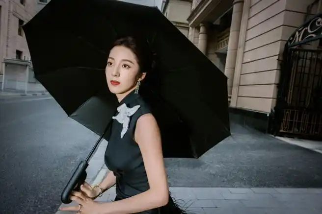 万鹏清冷黑天鹅