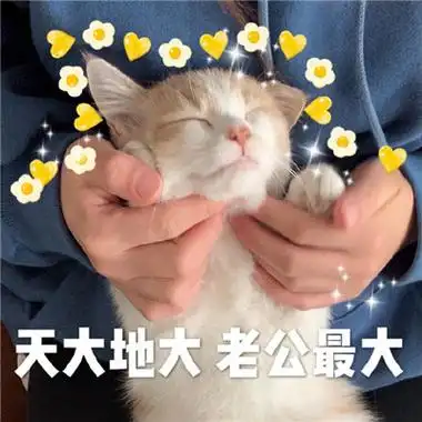 对老公撒娇卖萌的表情包要乖乖听老公话的表情包