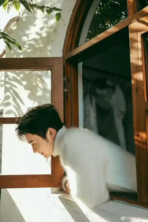 张彬彬11月行程图##张彬彬十一月行程图