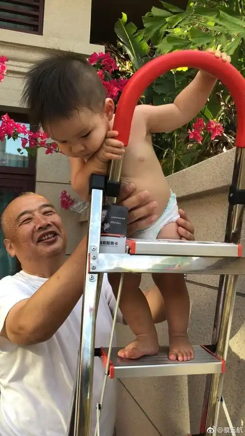 蔡远航儿子玩耍照片