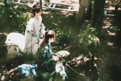 关于山河令完结之后的一点小想法,高开低走倒不至于,但13集之后的剧情