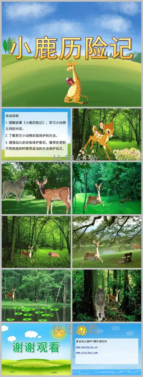 大班语言小鹿历险记ppt课件教案