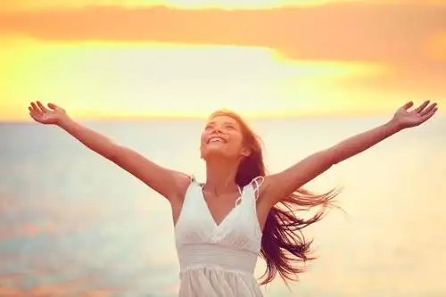 墙壁上自由飞翔的小鸟