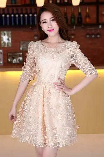 高档女装新款 欧根纱重工绣花中袖气质 韩版连衣裙br131188