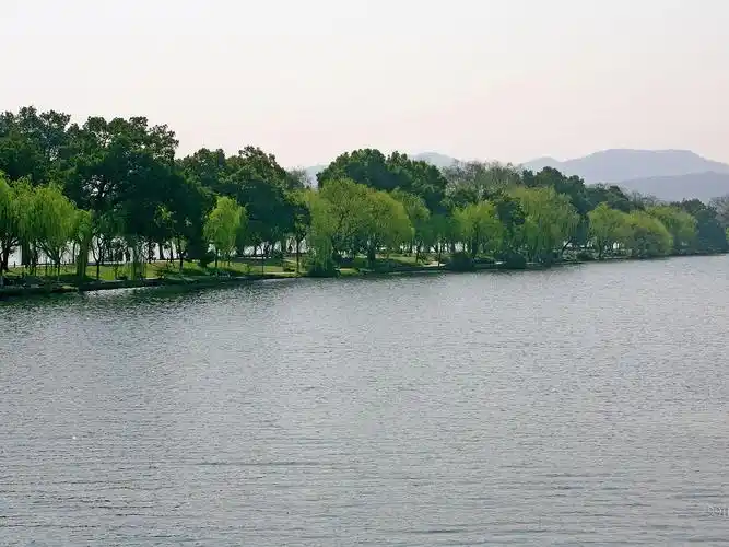 万种风情苏堤春晓