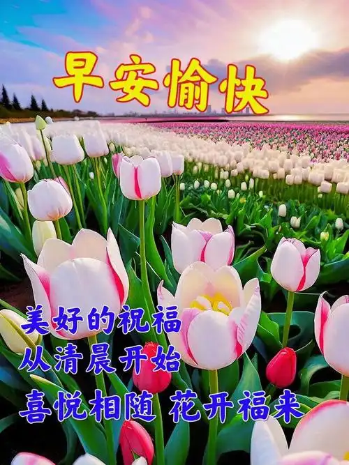 早安动态表情图片|快乐|清晨|晨光|幸福|早上好_网易订阅