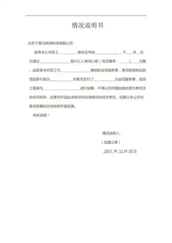 个人汇款情况说明书