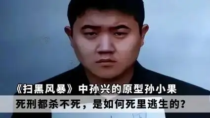 《扫黑风暴》孙兴原型,死刑都杀不死的孙小果,如何死里逃生的?