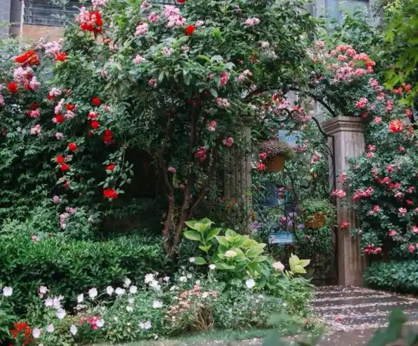 自己造座仙境花园,活得如同落入凡间的精灵