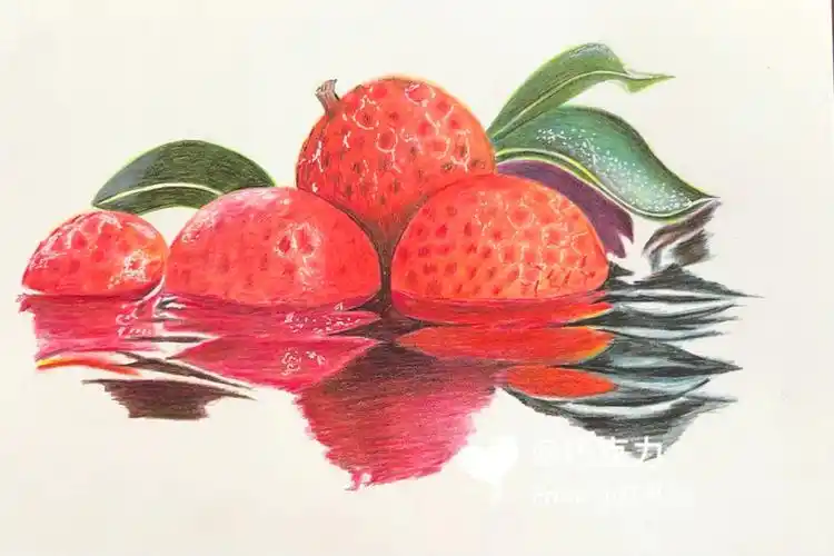 彩铅水果之荔枝附起型及过程图