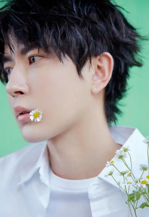 帅气男神于朦胧夏日清新文艺写真