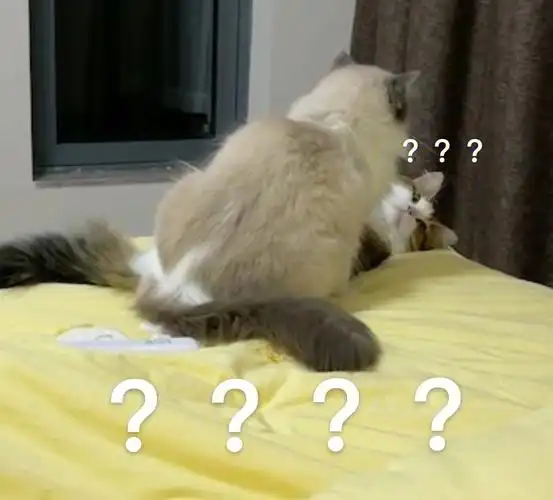 震惊60绝育太监和当家打桩机的禁忌之恋