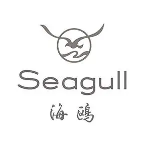 seagull海鸥cm9照投一体双反相机
