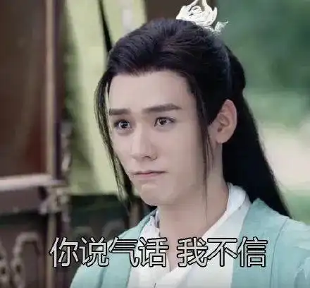 粉丝求图山河令温客行龚俊表情包