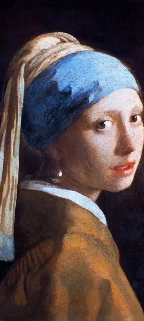 油画带珍珠耳环的少女