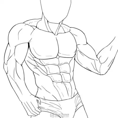 作业:如何学画手绘动漫人物之男性肌肉画法与训练技巧 - rh-9-087纯白