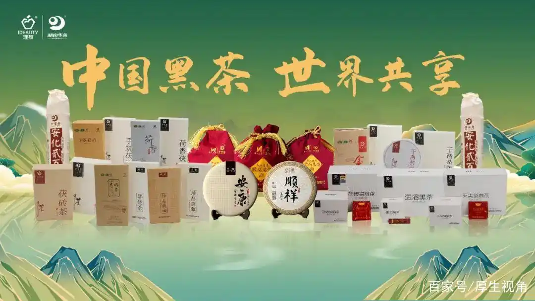 理想华莱:安化黑茶如何保存?储存地点有哪些?