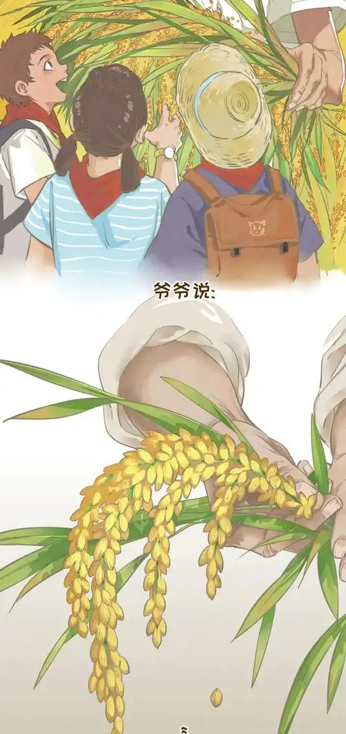 缅怀种子选手袁隆平院士