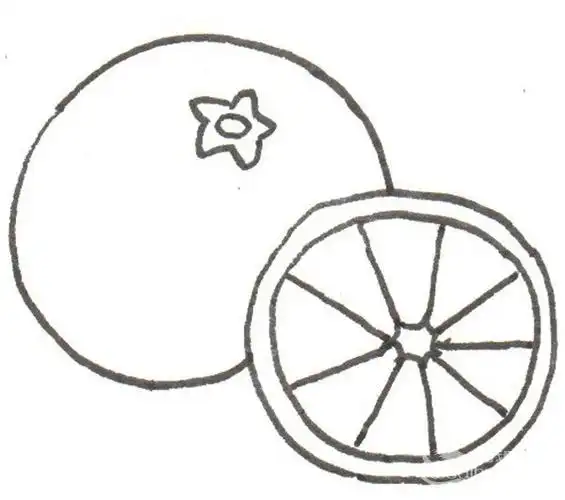 橙子的简笔画怎么画橙子的简笔画顺序