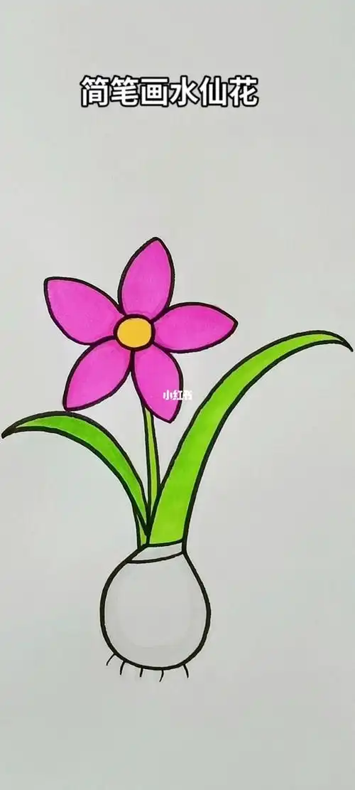 简笔画水仙花简笔画简笔画教程