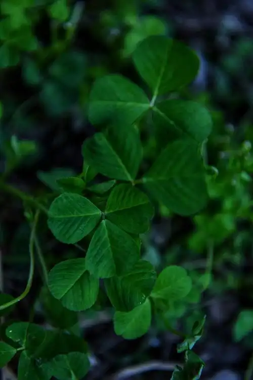 750_1125竖版 竖屏