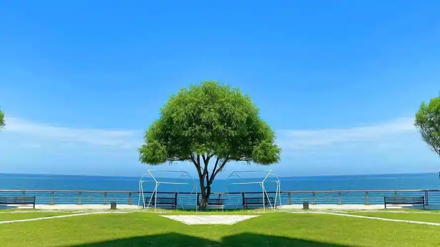 海边风景  by-秋刀鱼爱上猫