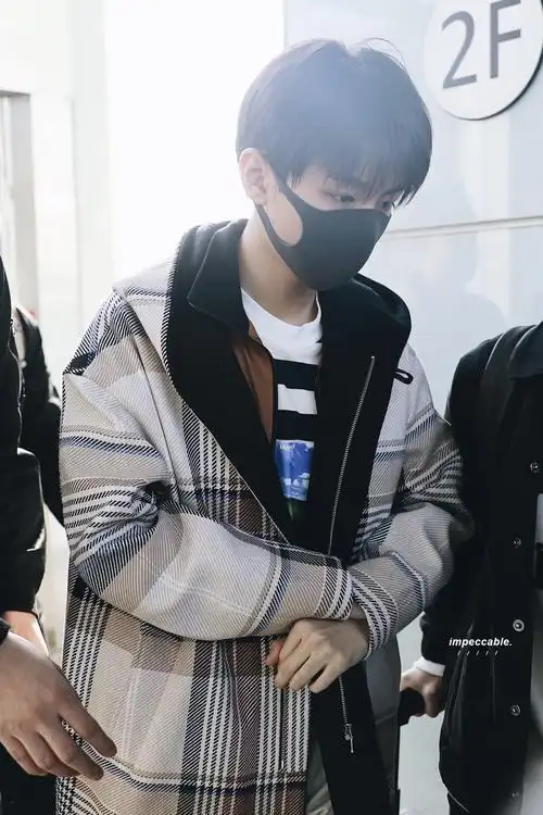 王俊凯现身机场变回乖乖崽