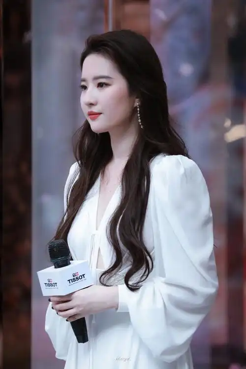 刘亦菲武汉活动现场