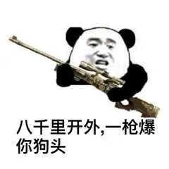 八千里开外,一枪爆你狗头_八千里_狗头_开外表情