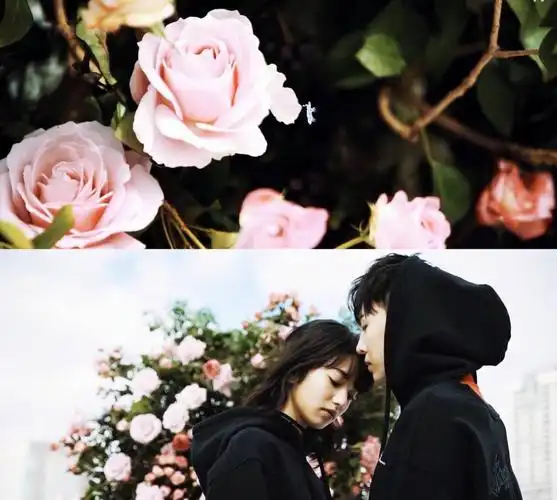 权志龙,小松菜奈