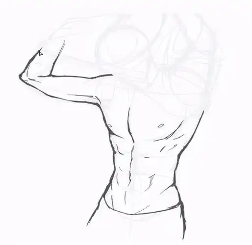 板绘初学者如何绘画人体肌肉线条新手正确练习人体肌肉线条教程