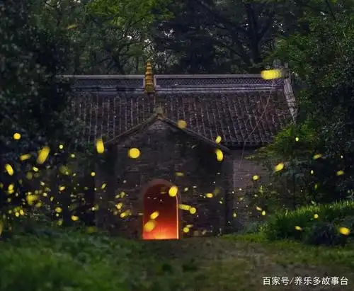 夏天最幸福的瞬间