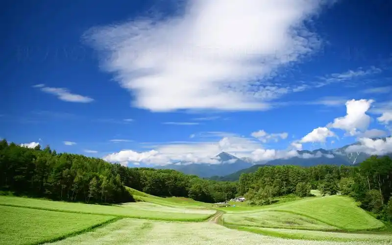 【4k超高清日本】第一视角 荞麦花盛开的大町市中山高原 2022.