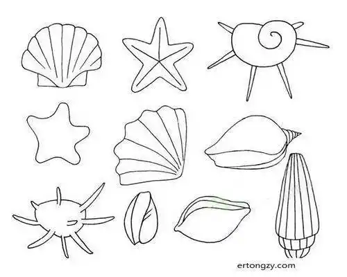 贝壳的简笔画 贝壳的画法大全