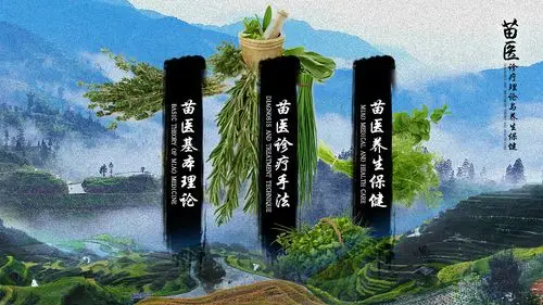 苗医小知识查询